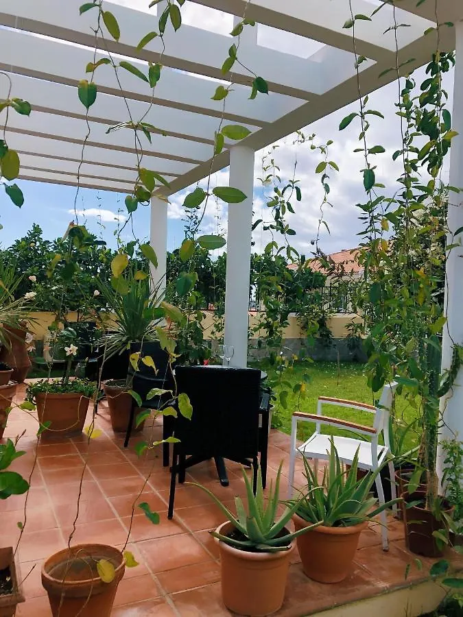 קוסטה דל סילנסיו Villa 8 Islas מלון